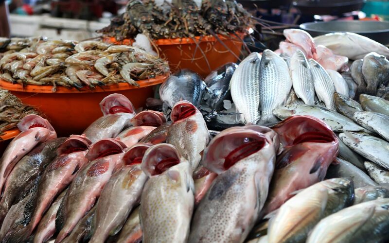 اسعار السمك اليوم الخميس 20 يونيو 2024 في الاسواق المحلية لجميع انواع المأكولات البحرية