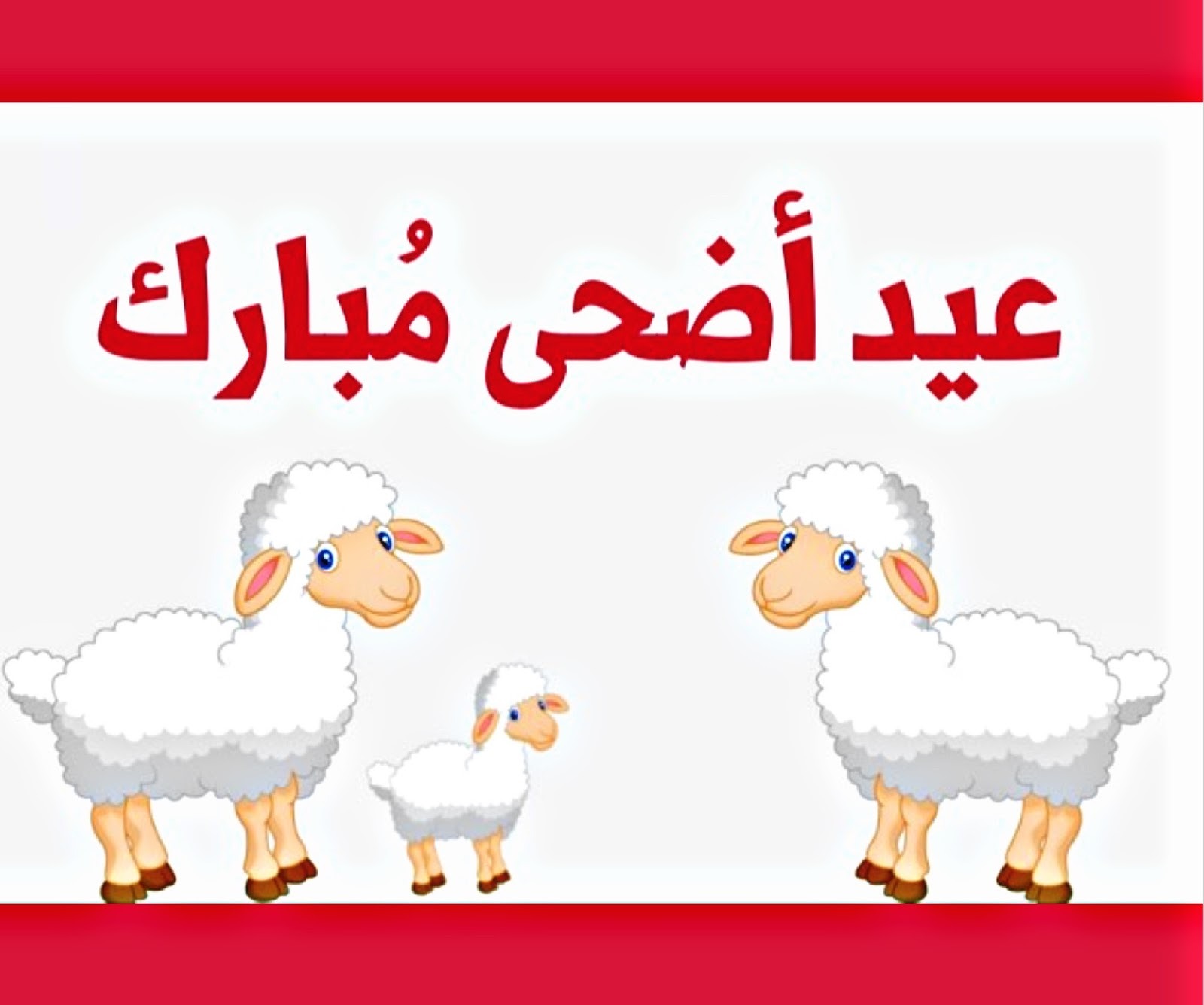 “بمناسبة العيد” رسائل تهنئة عيد الأضحى المبارك 2024 مكتوبة وموعد أول أيام العيد المبارك