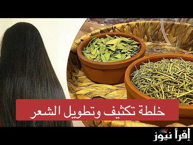 من النهاردة وداعًا لتقصف الشعر … طريقة تكثيف الشعر وتطويله بسرعة