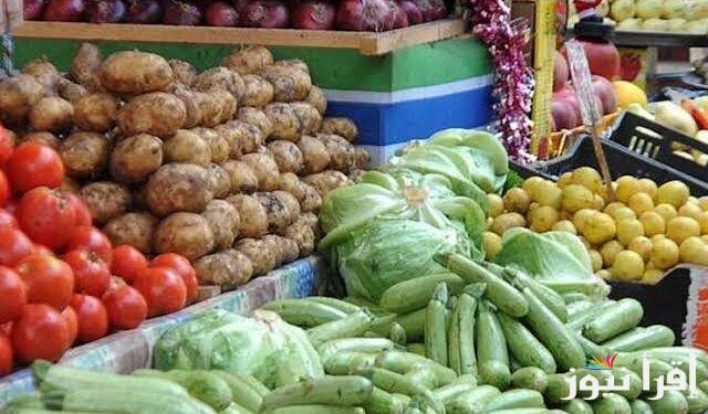 استمرار الارتفاع .. أسعار الطماطم اليوم في سوق العبور السبت 21 سبتمبر 2024 واسعار الفاكهة داخل الاسواق للمستهلك