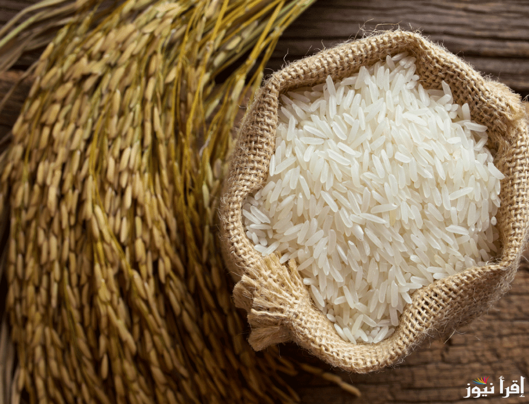 “رفيع عريض” سعر طن الأرز الشعير اليوم الاربعاء 25 سبتمبر 2024 في مصر للمستهلكين والتجار