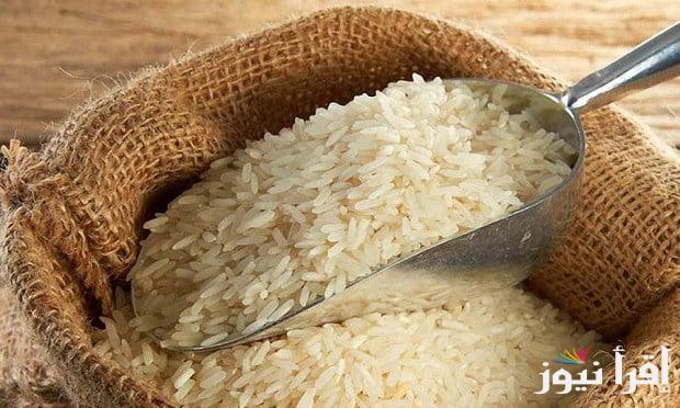 سعر طن الأرز الشعير اليوم الاربعاء 18 سبتمبر 2024 فى الأسواق وأسعار السلع الغذائية فى الأسواق