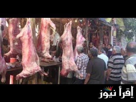اللحمة البلدي تترواح ما 350 لـ400 جنيها .. اسعار اللحوم اليوم السبت 21 سبتمبر 2024 داخل جميع الاسواق والمنافذ الحكومية