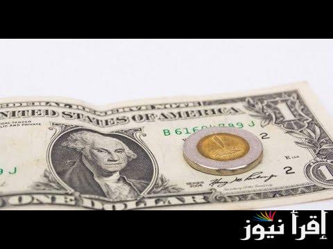 “مباشر الآن” سعر الدولار اليوم مقابل الجنيه المصري السبت 21-9-2024 في السوق الموازية وكافة البنوك