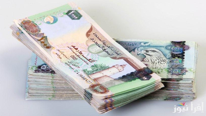 “سعر الصرف بالجنيه المصري” سعر الدرهم الاماراتي في السوق السوداء والبنوك اليوم الثلاثاء 24 سبتمبر 2024