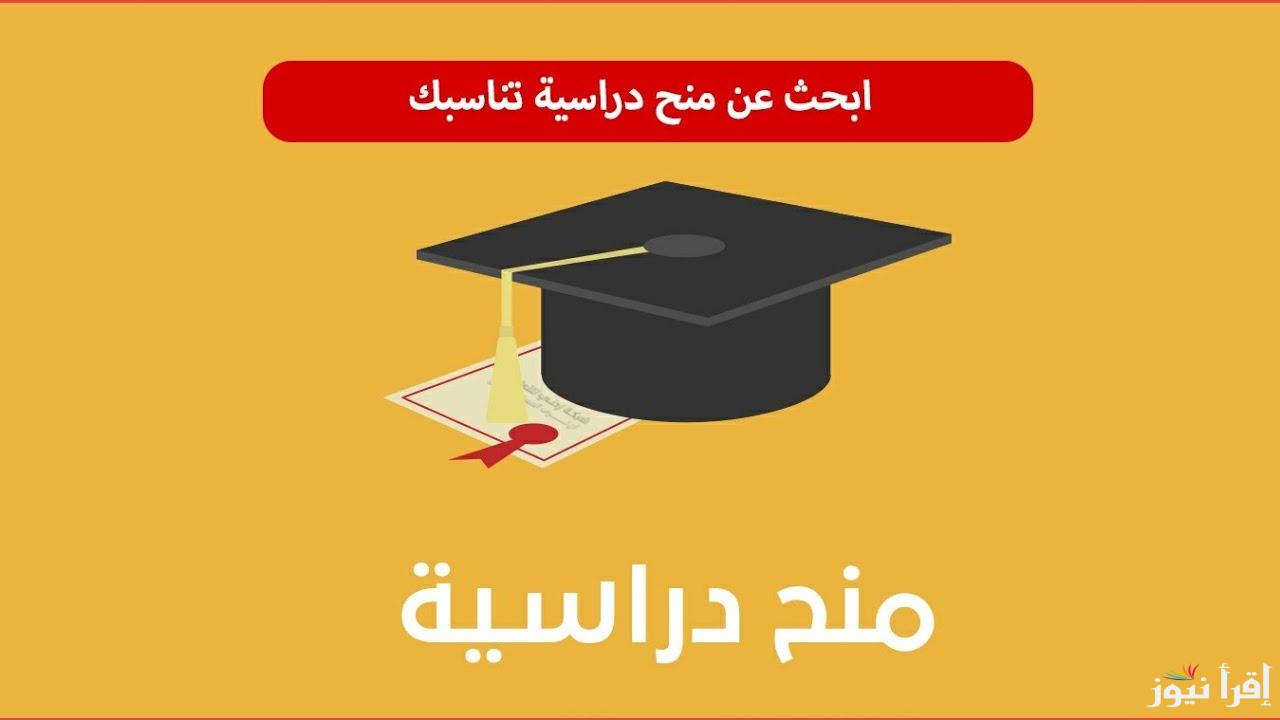 تعرف علي .. منح جوجل المجانية 2025 المقدمة من المانيا وايطاليا وبلجيكا وبعض الدول الاروبية الاخري