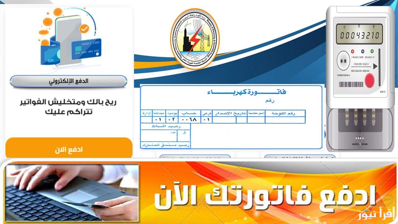 طريقة الاستعلام عن فاتورة الكهرباء برقم العداد 2024 إلكترونياً عبر moee.gov.eg