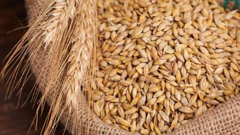 الرفيع والعريض.. سعر طن الأرز الشعير اليوم الثلاثاء 5 نوفمبر 2024 وأسعار السلع الغذائية الأخرى لشهر نوفمبر 2024