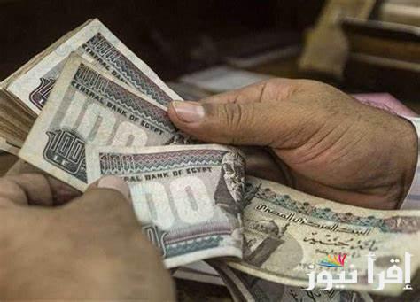 زيادة المرتبات والمعاشات 2024.. الحكومة المصرية توضح الحقيقة لجميع المواطنين بجدول الزيادة الاخير