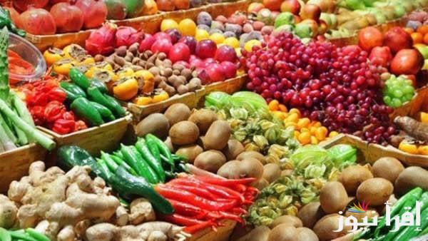 أسعار الفاكهة اليوم الاثنين 21/10/2024 داخل سوق العبور وكافة الأسواق التجارية المصرية