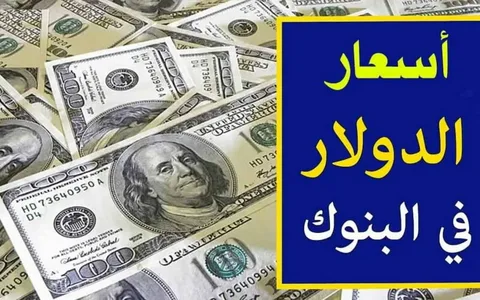 ارتفاع سعر الدولار اليوم في البنوك الثلاثاء 22 أكتوبر 2024 مقابل الجنية المصري