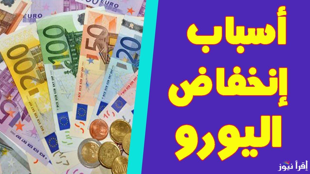 للبيع بقيمة 52.05 جنيه .. سعر اليورو اليوم في البنوك المصرية الخميس 17 اكتوبر 2024 داخل جميع البنوك المصرية