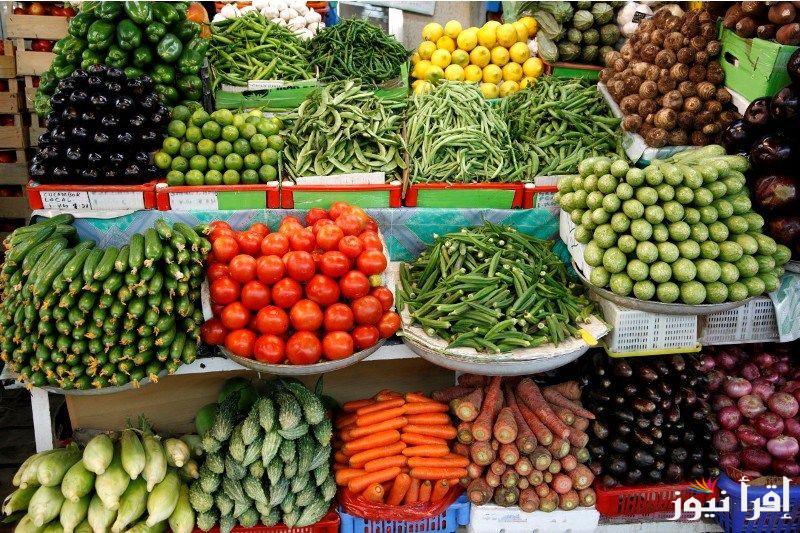 اسعار الخضار في سوق العبور اليوم الأربعاء 23-10-2024 وداخل مختلف الأسواق التجارية