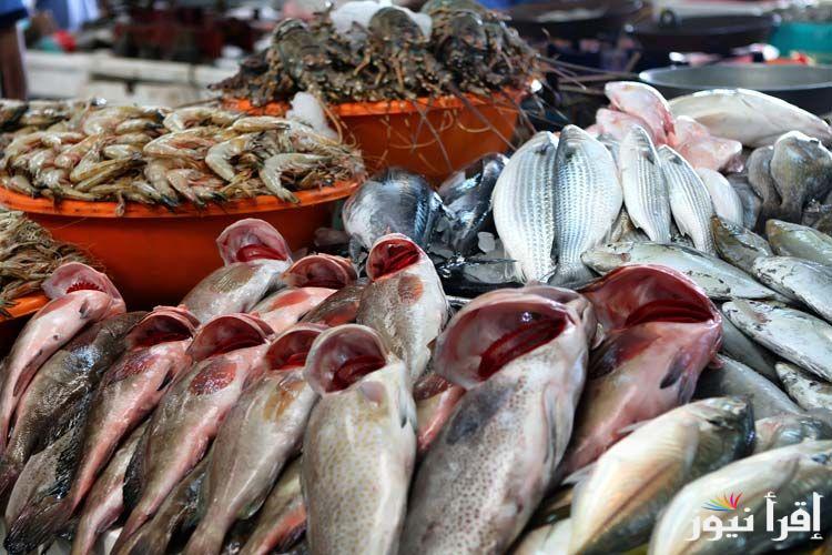 جدول اسعار السمك اليوم الأحد 3-11-2024 في سوق العبور للمستهلك