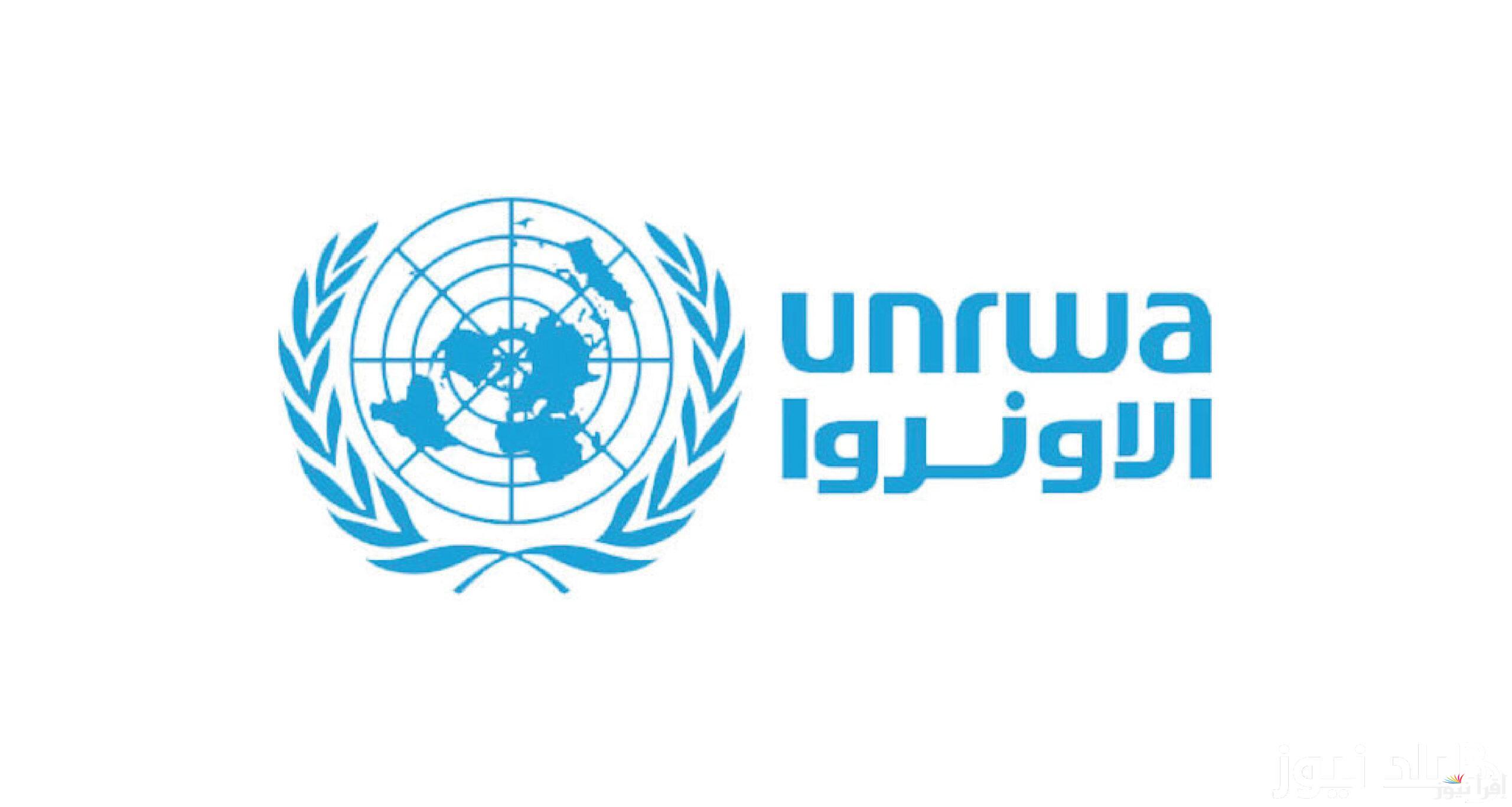 رابط فحص الطحين فلسطين 2024 آلية توزيع الطحين في وكالة الأونروا الدولية للمساعدات