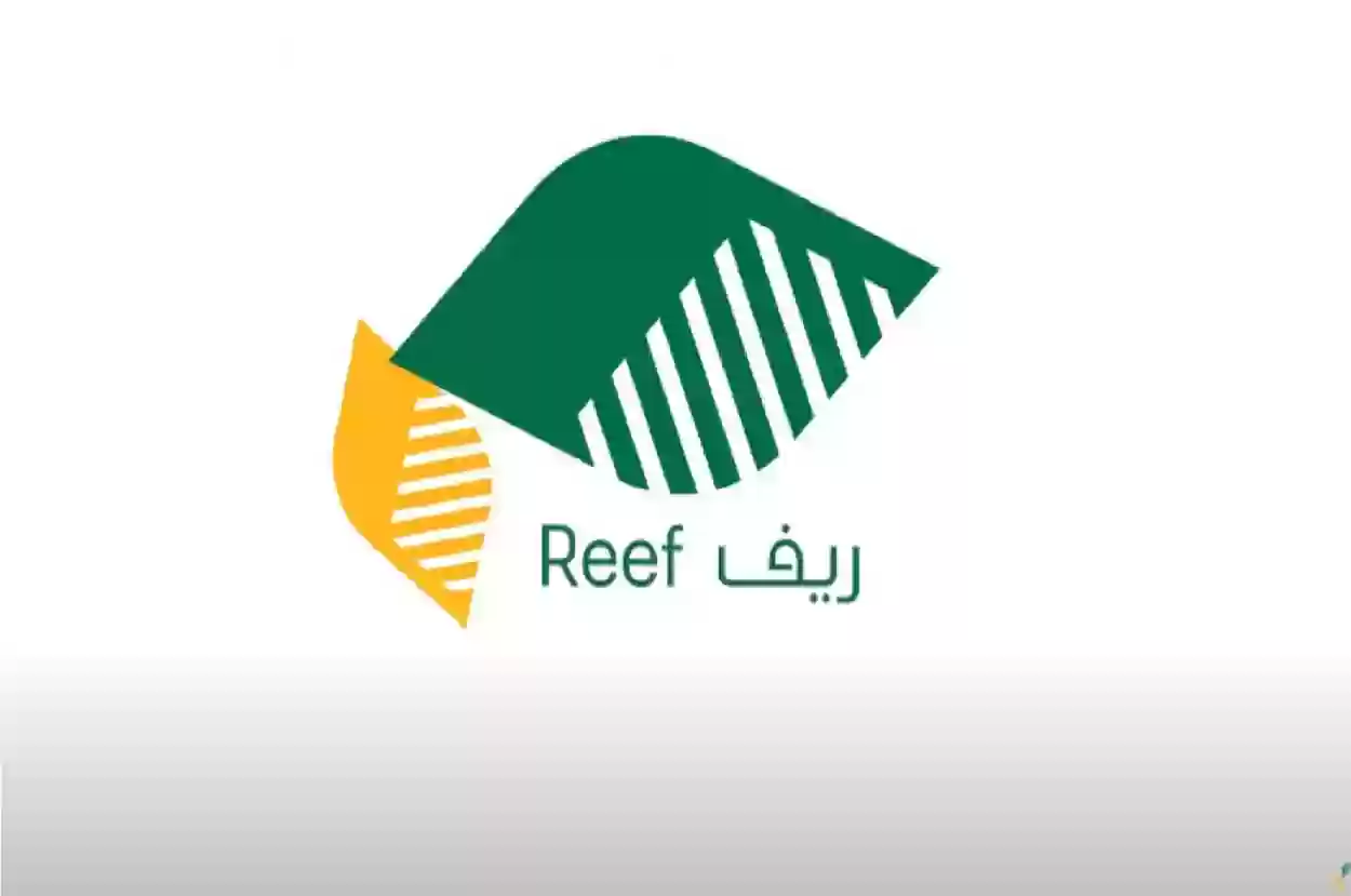 موعد صرف دعم ريف لشهر ديسمبر 2024 في المملكة السعودية وطريقة الاستعلام عبر منصة ريف