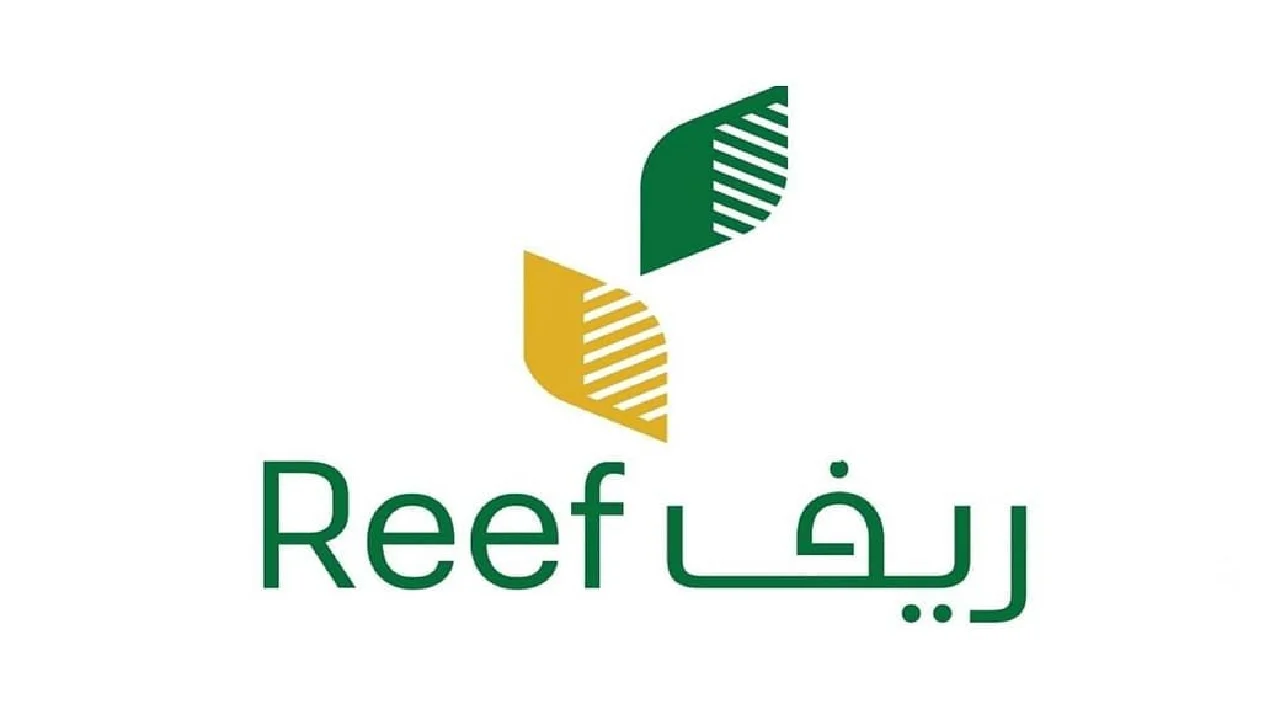 امته هيتصرف … موعد صرف دعم ريف واهم معايير التسجيل للحصول على الدعم