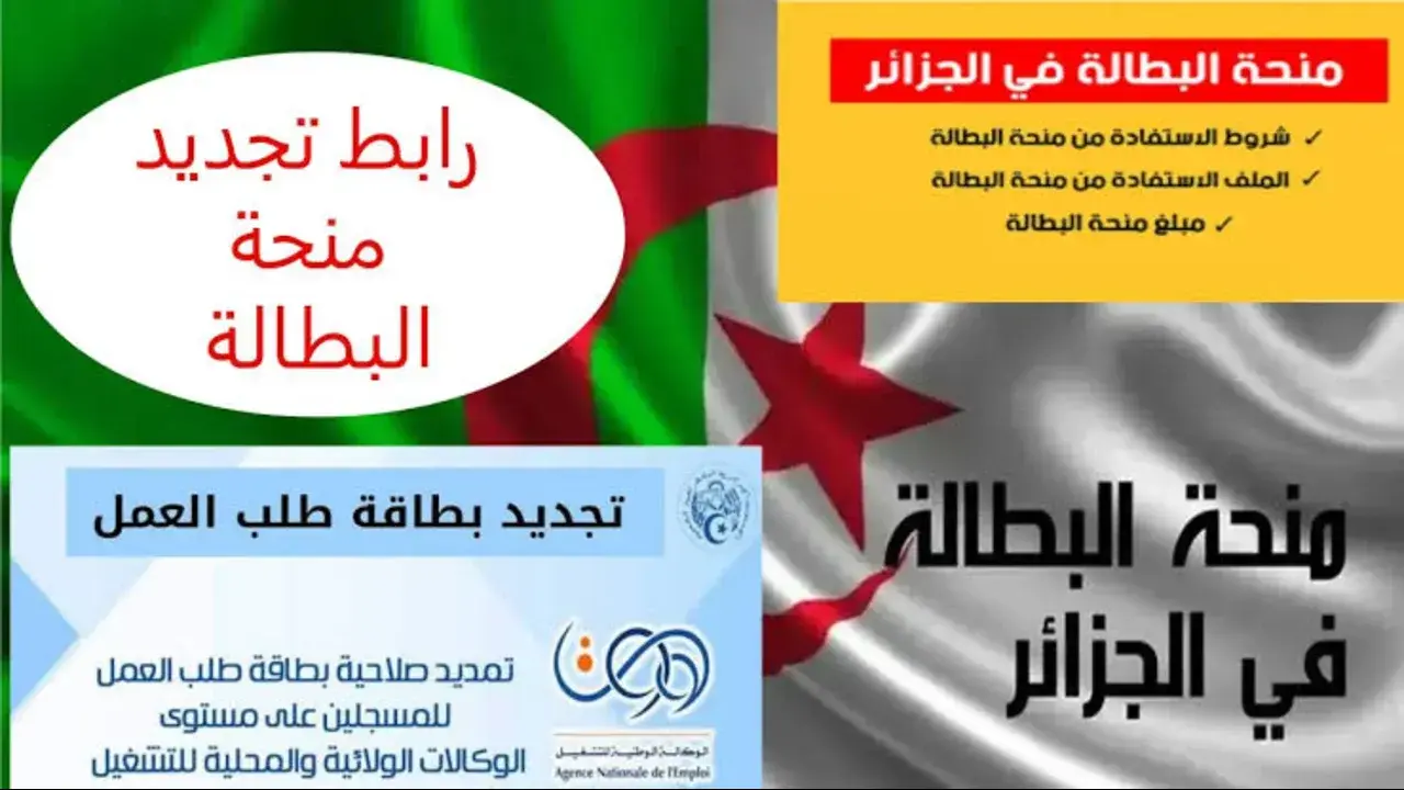 جدد أونلاين “anem.dz” خطوات تجديد منحة البطالة في الجزائر 2024 من الوكالة الوطنية للتشغيل وأهم الشروط المطلوبة