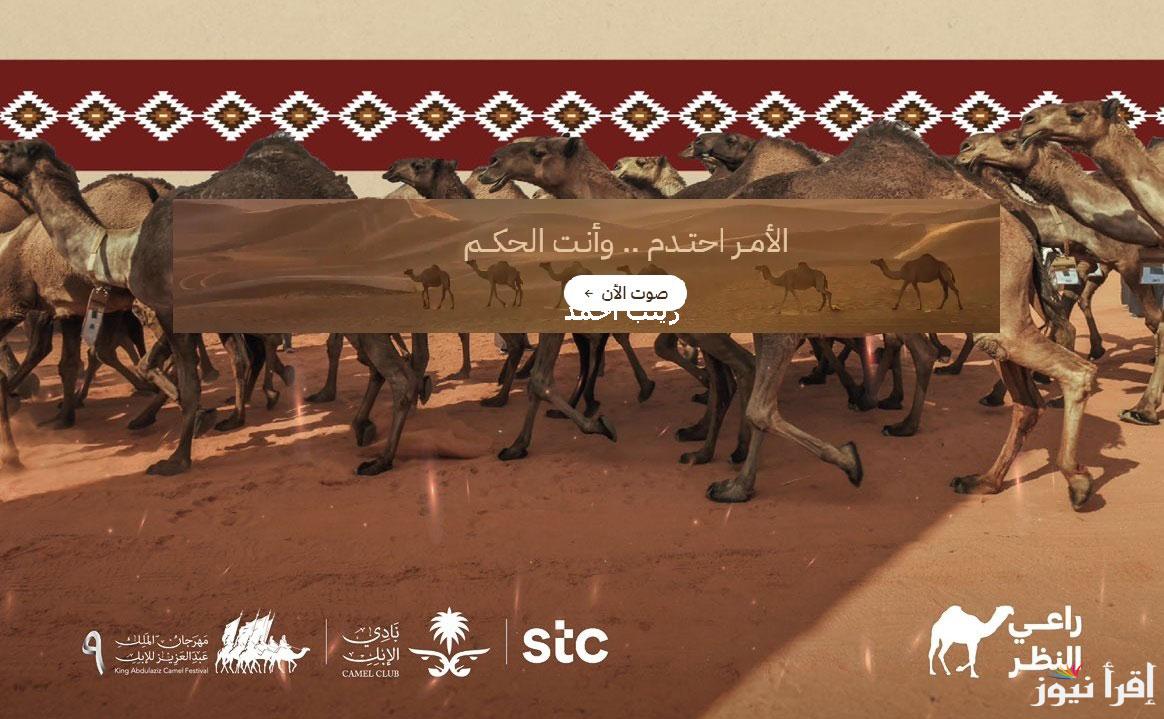 نتائج منقية الجزيرة “raialnadhar”رابط منصة راعي النظر للتصويت في مهرجان الملك عبد العزيز للإبل اليوم الثاني 9-12-2024 الامر احتدم وانت الحكم