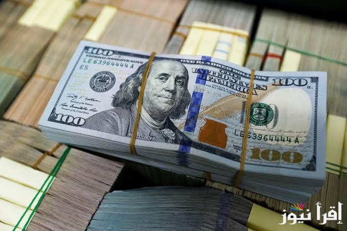 ارتفاع الأخضر.. سعر الدولار مقابل الجنيه المصري اليوم 8/12/2024 في البنوك والمصارف