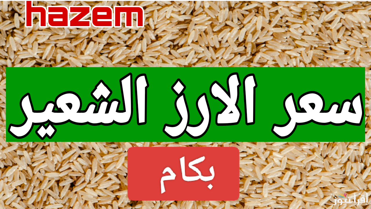 المطبخ هيقف.. سعر طن الأرز الشعير اليوم الخميس 12 ديسمبر لعام 2024 في السوق المحلي المصري 