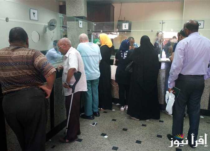 300 شهر تأمين وتطلع معاش.. أزاي تحصل على المعاش المبكر أول يناير 2025 طبقا لتعديل اللائحة الاجتماعية