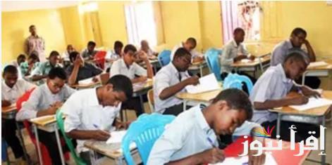 بسهولة .. رابط استخراج ارقام جلوس الشهادة السودانية 2024/2025 عبر الرابط الرسمي www.moe.gov.sd