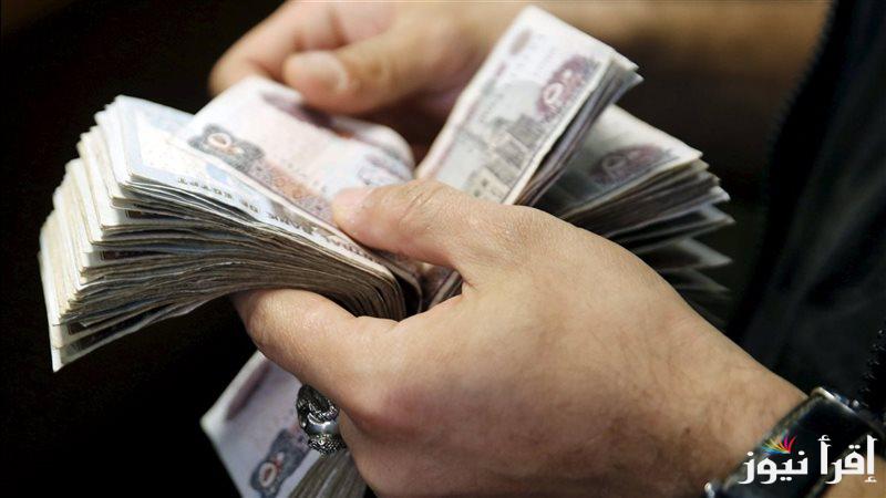 ربح 3800 جنيه شهريًا؟.. طوابير أمام بنك بمصر بعد الكشف عن اعلي شهادة ادخار في سوق البنوك قبل اجتماع سعر الفائدة
