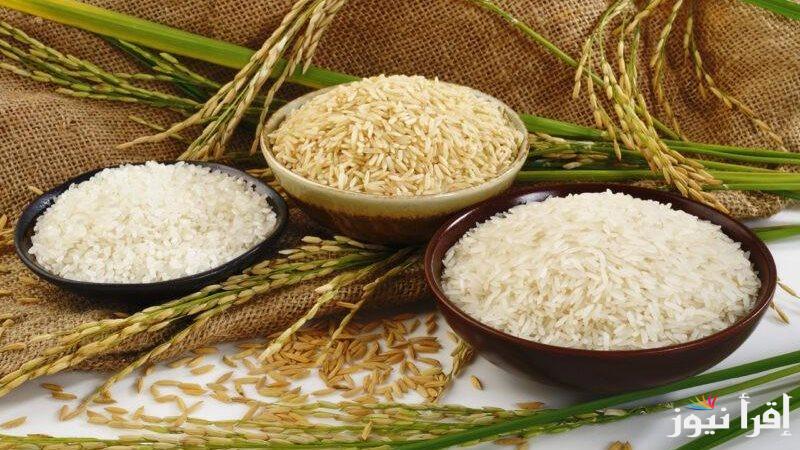 “الكيلو بـ 30 جنيه”  سعر طن الأرز الشعير اليوم الخميس 12 ديسمبر 2024  في الاسواق المحلية للسلع الغذائية