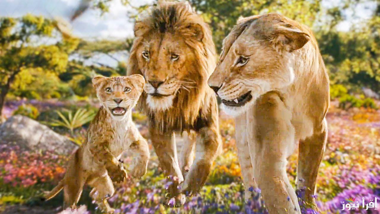 الآن فيلم موفاسا: الأسد الملك 2024 Mufasa: The Lion King الأكثر تحقيقاً للإيرادات ننشر موعد نزولة في السينما بجودة HD