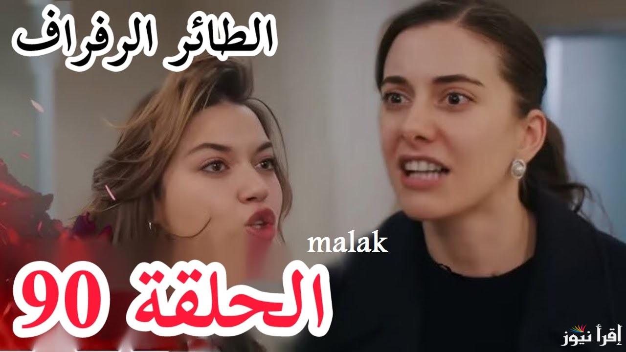 تفــاصيل مسلسل طائر الرفراف الحلقة 90 Yalı Çapkını وما سبب تأجيلها