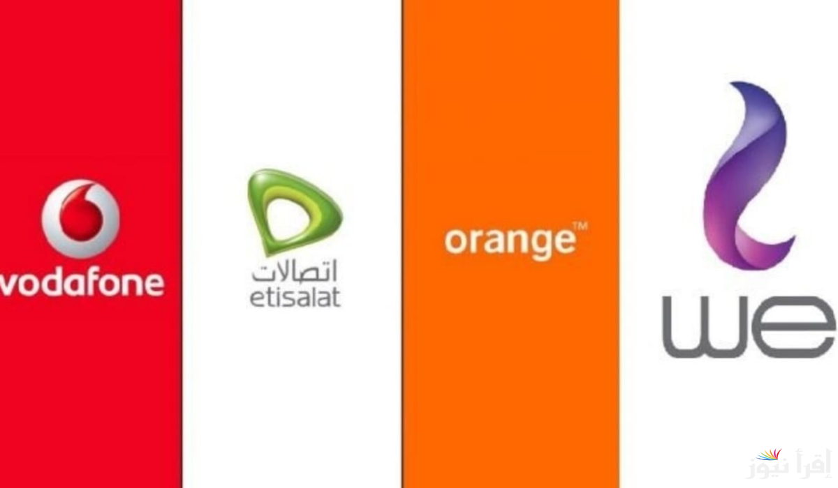 بعد «الزيادة الجديدة».. قائمة أسعار باقات الإنترنت الأرضي وكروت الشحن بعد إضافة الضريبة في مصر