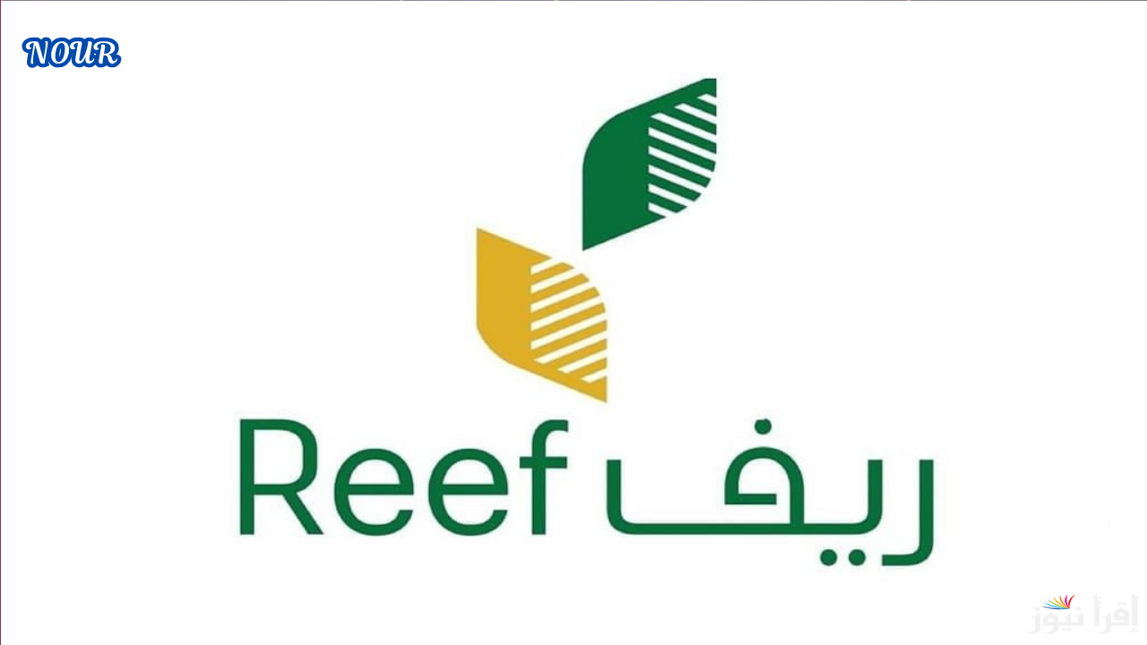ما هي شروط التسجيل في برنامج ريف؟ ومواعيد صرف دفعة يناير 2025/1446