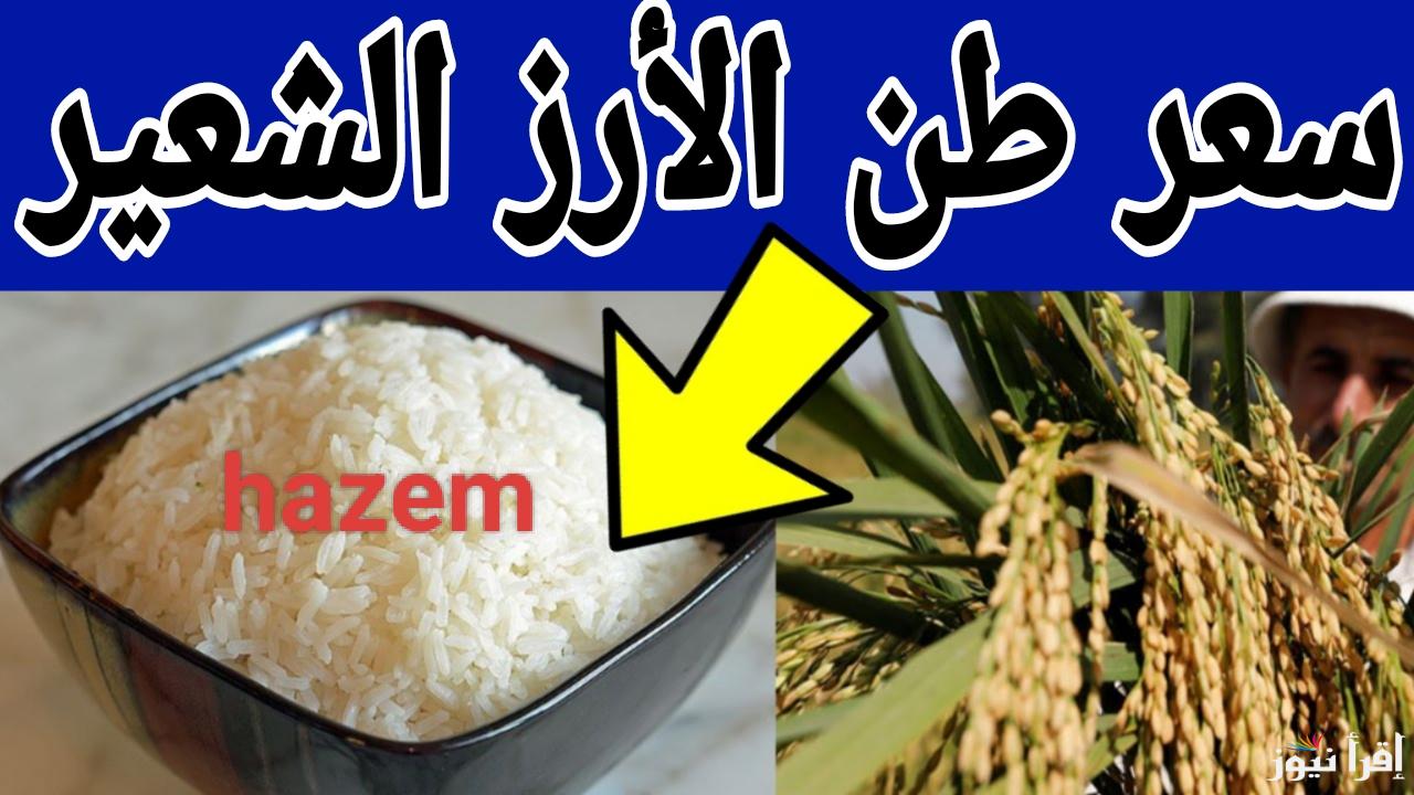 الكيلو وصل 23 جنيه في التموين.. سعر طن الأرز الشعير الان الإثنين 6 يناير 2025 في مصر
