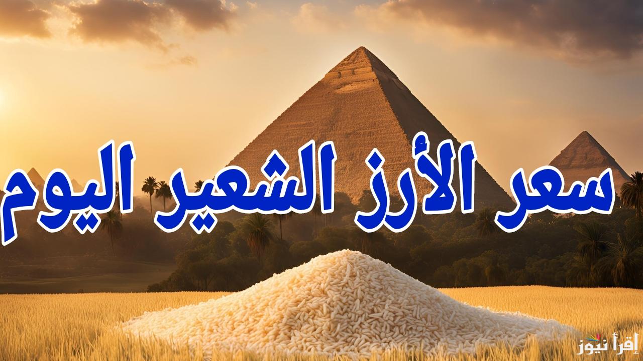 السوق هادي دلوقتي.. سعر طن الارز الشعير اليوم السبت 25 يناير 2025 في مصر 