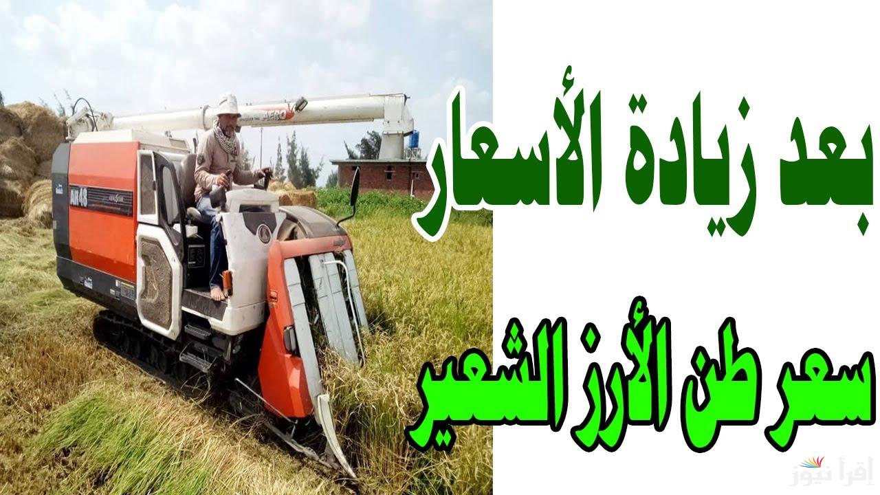 الحق نفسك قبل ما يفوت الأوان.. سعر طن الأرز الشعير اليوم السبت 25 يناير 2025 في مصر