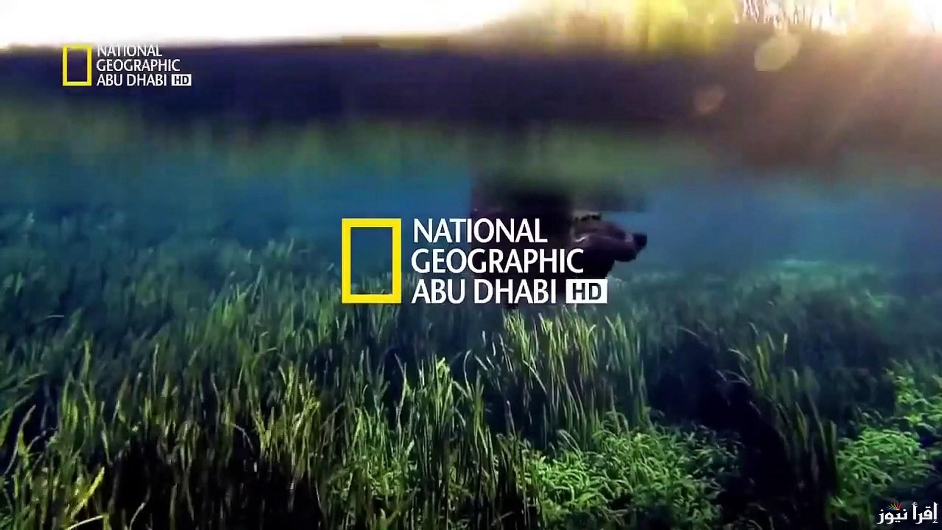 تردد ناشيونال جيوغرافيك نايل سات ٢٠٢٥ National Geographic  .. استكشف أسرار الكون والطبيعة