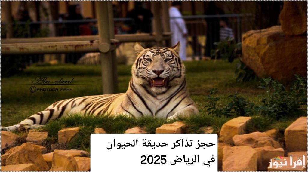 حجز تذاكر حديقة الحيوان في الرياض 2025.. دليل شامل مع أسعار وعروض لا تفوت الفرصة
