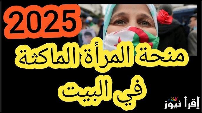 رسميا.. رابط التسجيل في منحة المرأة الماكثة في البيت 2025 وأبرز الشروط المطلوبة