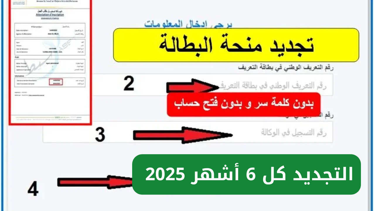 ” قــبل ما تتوقــف ” رابط تجديد منحة البطالة كل 6 أشهر 2025 من الهاتف عــــبر anem.dz موعد الصرف 