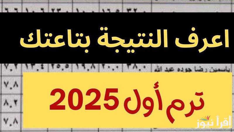 رابط نتيجة الصف الثاني الثانوي 2025 الترم الأول بالجيزة بالاسم ورقم الجلوس من خلال natigatk
