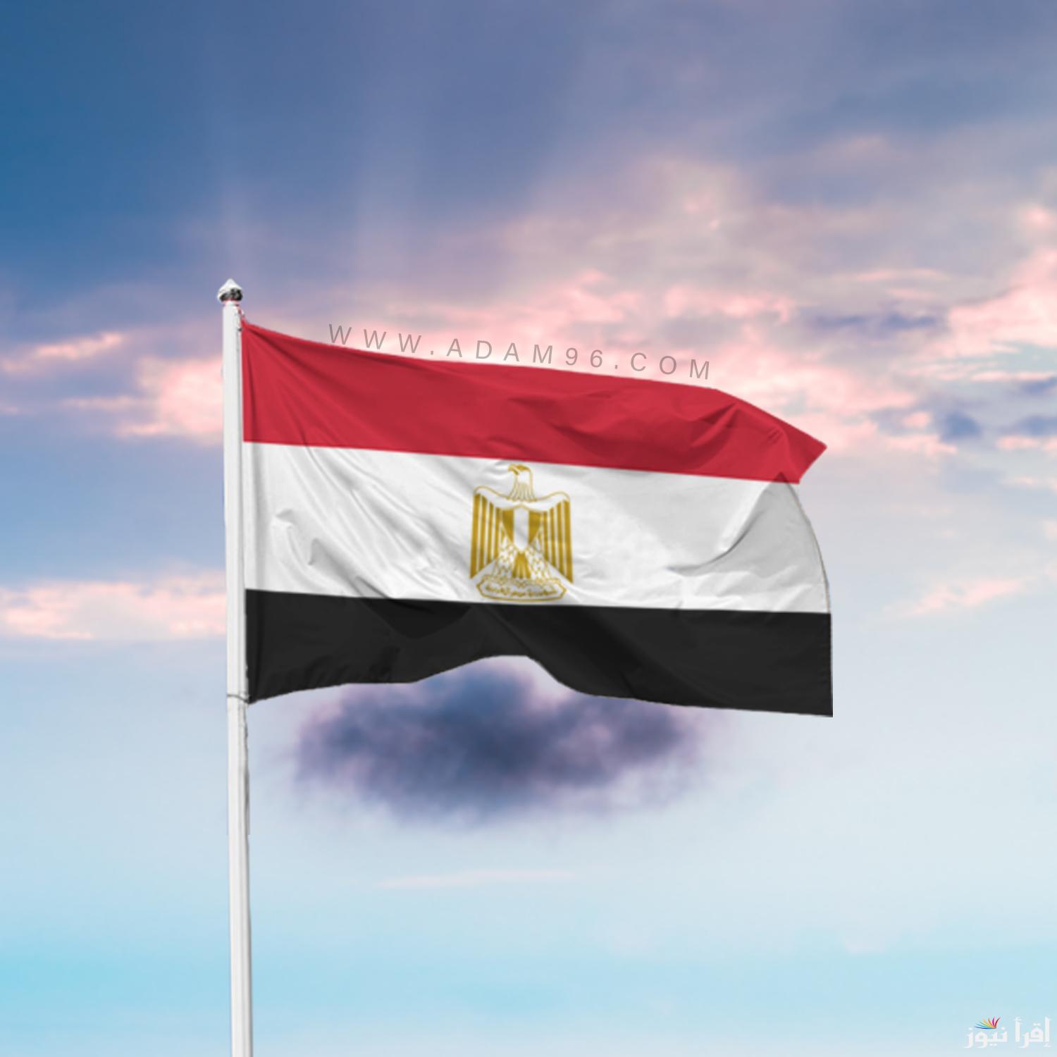 تحيا مصر وشرطتها .. رسائل تهنئة ثورة 25 يناير وعيد الشرطة 2025 مكتوبة احتفظ بها وارسلها لمن تحب
