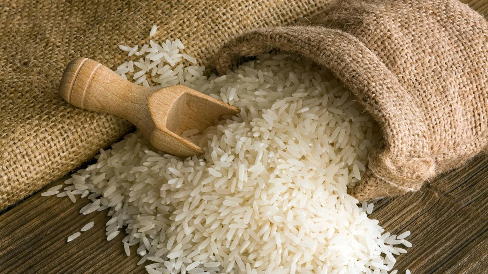 شوف الأرب بكام.. سعر الأرز الشعير اليوم الجمعة 10 يناير 2025 في الأسواق المحلية بداية التعاملات الصباحية