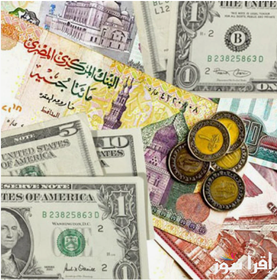 الدولار بكم مصري؟ سعر الدولار في السوق السوداء اليوم الجمعة 17 يناير 2025 مقابل الجنية المصري وفقا لأخر تحديث