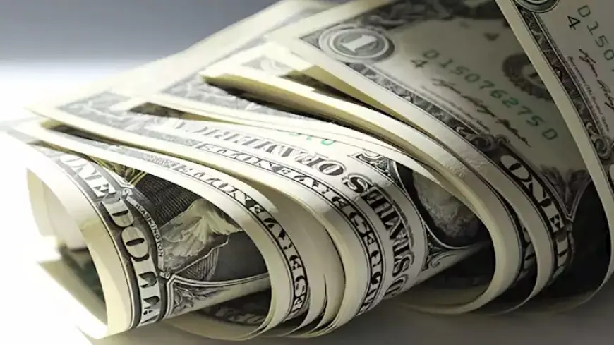 ” الاخضر في العالي ” سعر الدولار في السوق السوداء اليوم الأربعاء 1 يناير 2025 والبنوك المختلفة