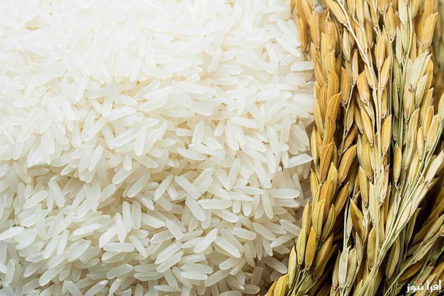 رفيع وعريض الحبة .. سعر طن الأرز الشعير اليوم الأربعاء 15 يناير 2025 داخل الأسواق المصرية
