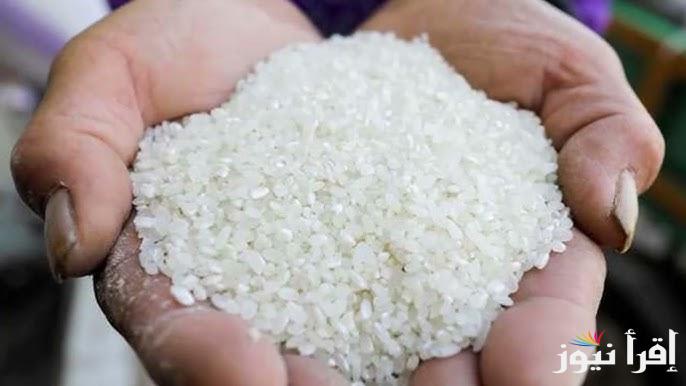 بشري خير قبل رمضان.. سعر طن الأرز الشعير اليوم الاثنين 27 يناير 2025 في كافة الأسواق المصرية