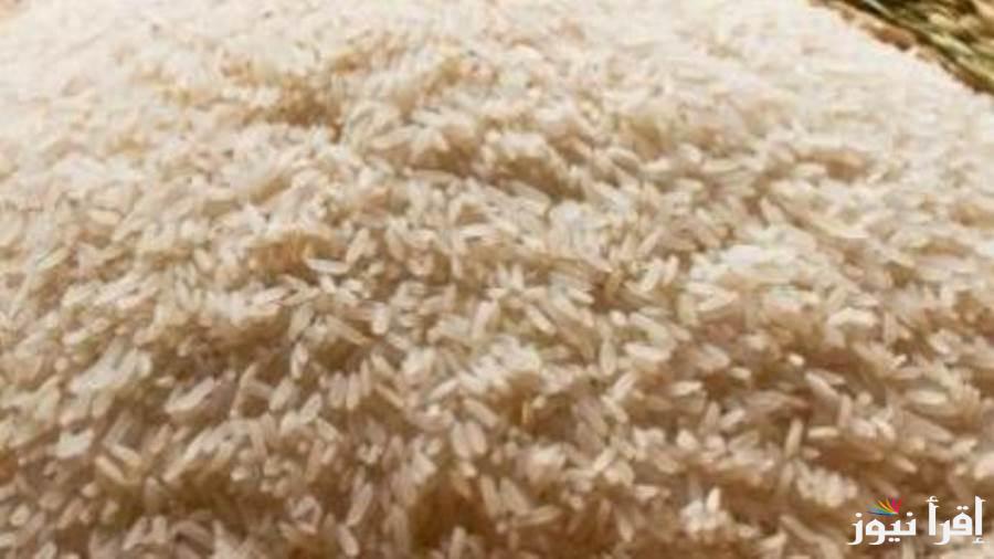 سعر طن الأرز الشعير اليوم الجمعة 31 يناير 2025 وتعرف علي سعر عريض ورفيع الحبة داخل الأسواق المحلية