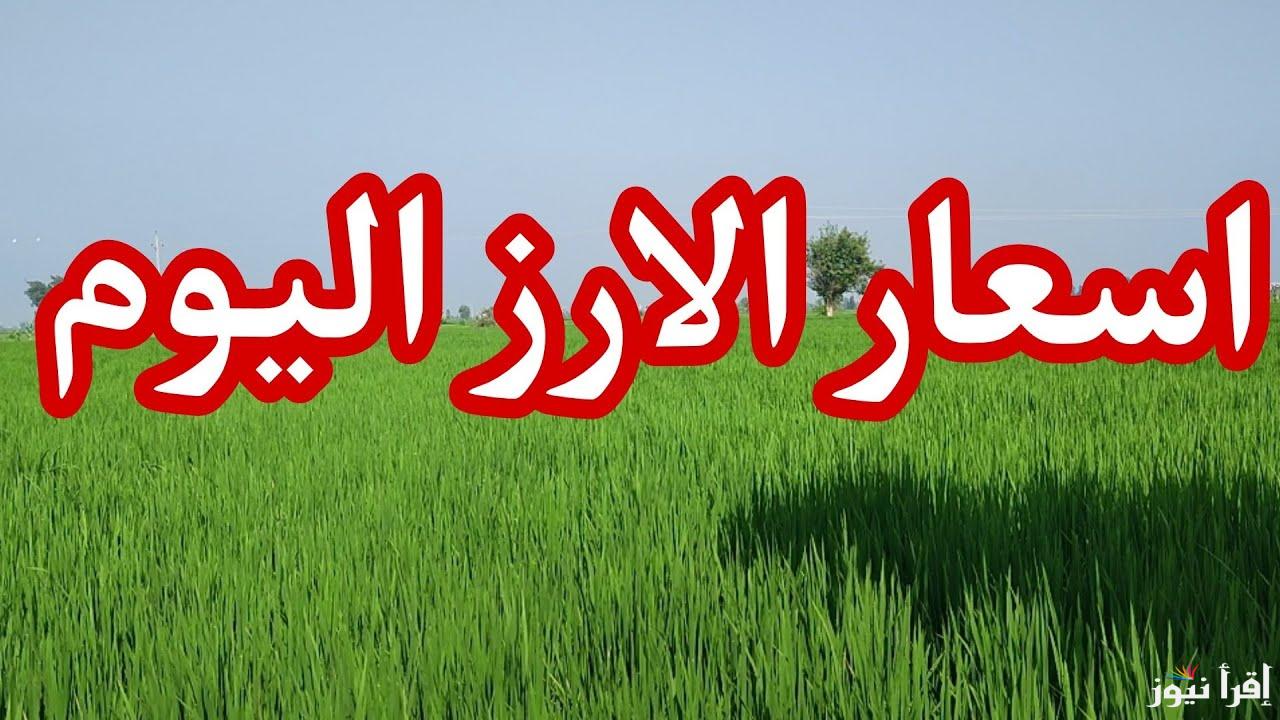 ارتفع تاني.. سعر طن الأرز الشعير اليوم الاثنين 6 يناير 2025 بالمحلات التجارية بعد توفيره