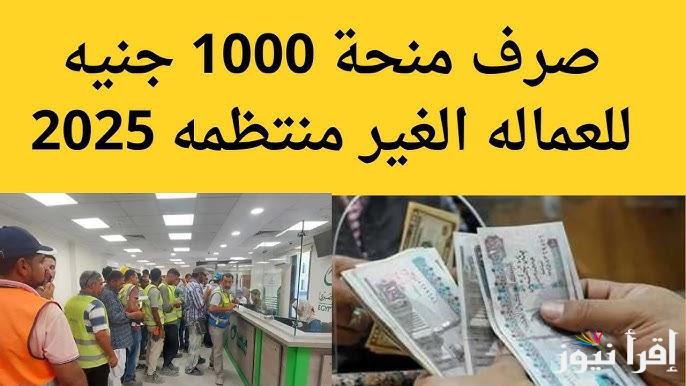 1000 جنية .. طريقه التقديم في منحه العماله غير المنتظمه 2025 mom.manpower.gov.eg والأوراق اللازمة